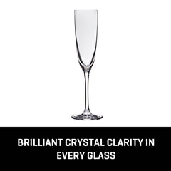 Lucaris Tokyo Temptation Champagne Glasses (4-Pieces), 5-ounce, Dishwasher Safe, Lead-free Crystalline